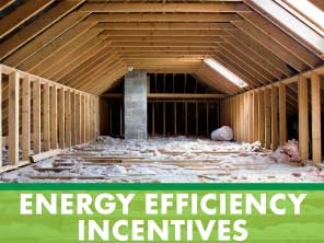 energy efficiency incentives