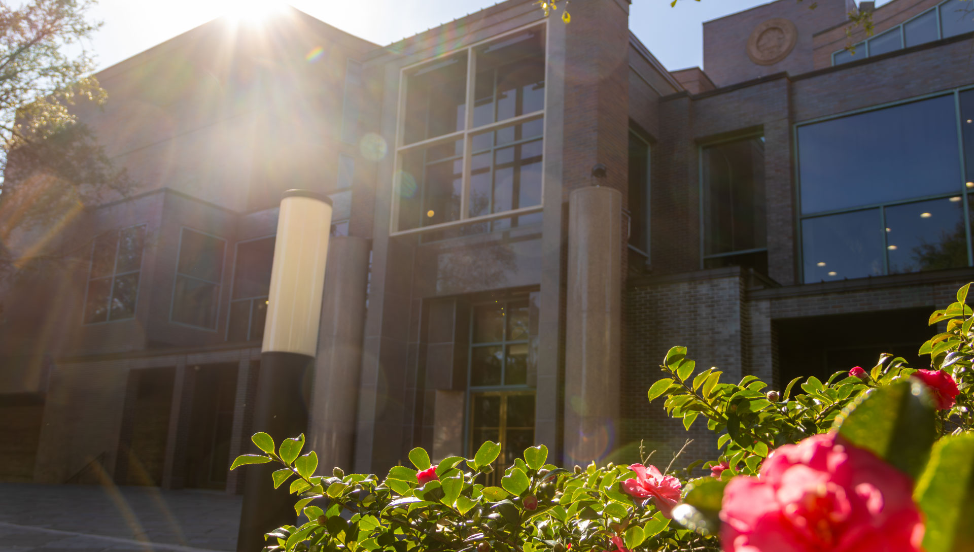 a panoramic photo of an event at cascades park at sundown.